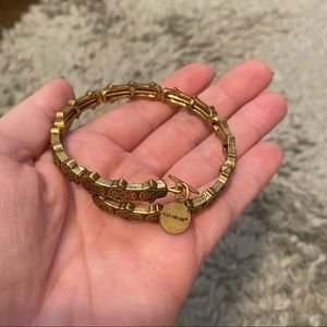 alex and ani bracelet